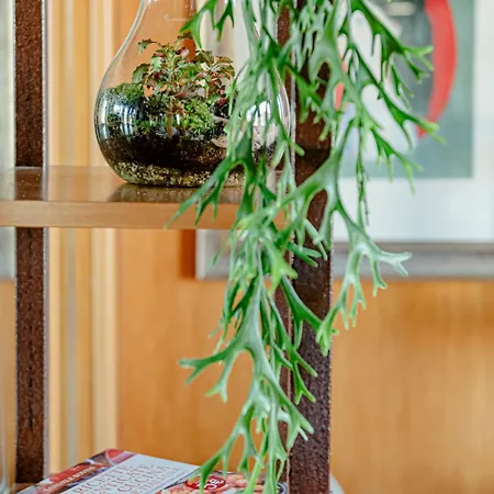 Labanca's Gallery Saint John *